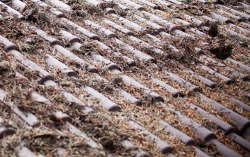 Clachaig roof cleaning companies